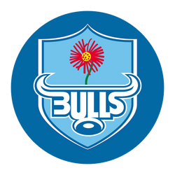 blue bulls logo