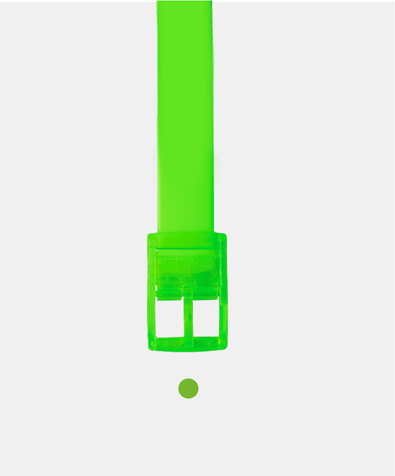 The Bright Green Boomslang