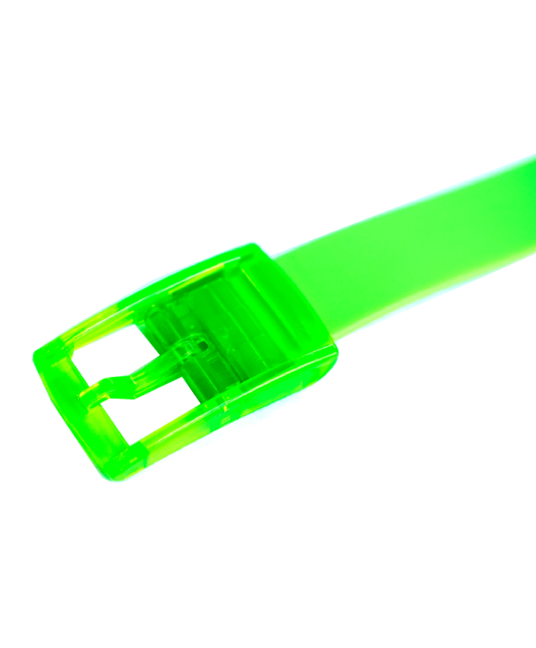 The Bright Green Boomslang