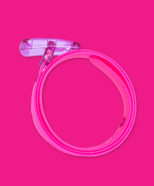 The Bright Pink Boomslang