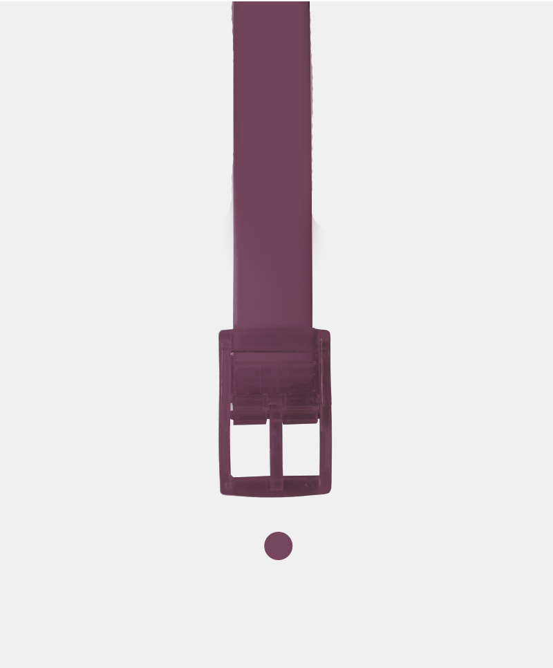 The Burgundy Boomslang