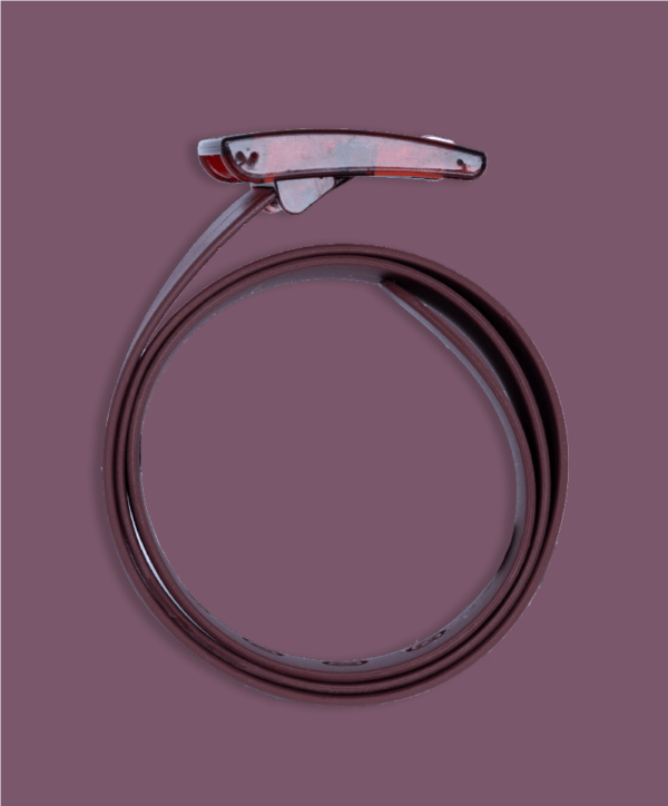 The Burgundy Boomslang