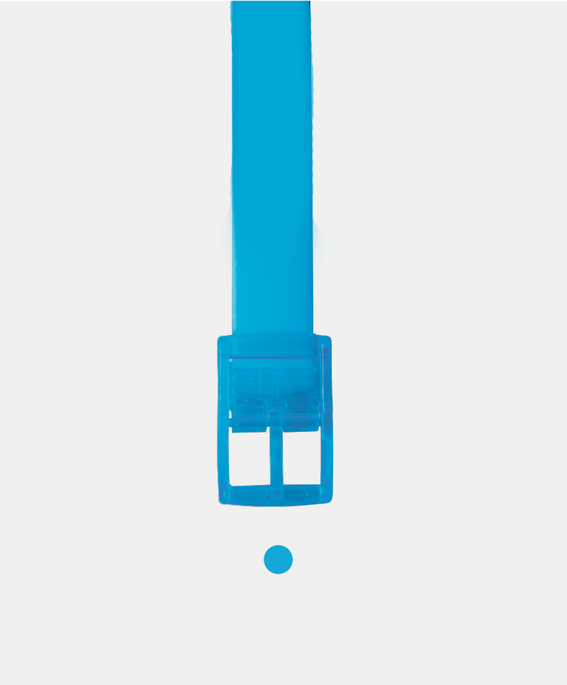 The Light Blue Boomslang