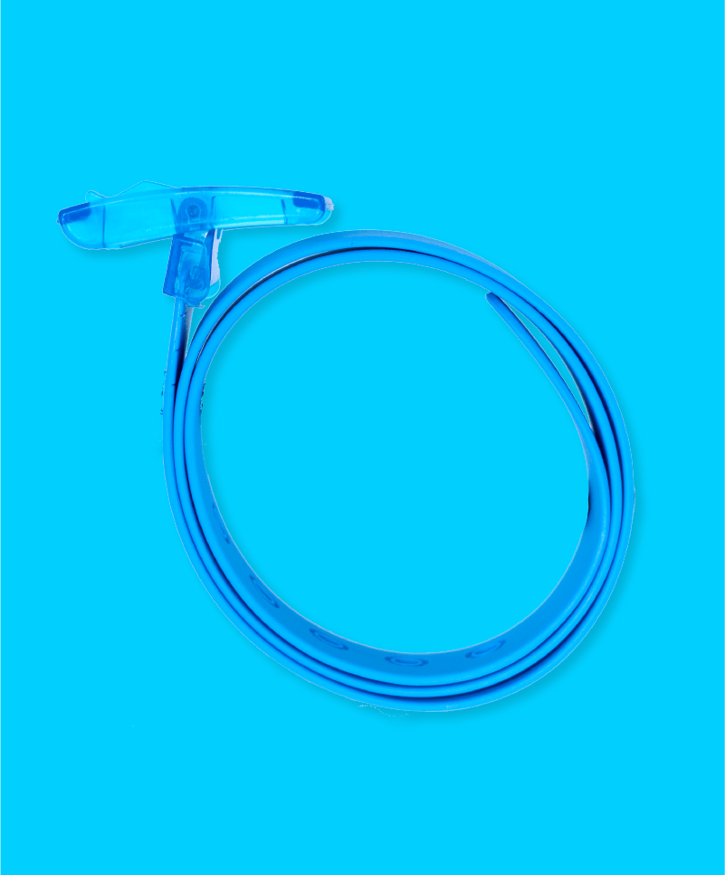 The Light Blue Boomslang