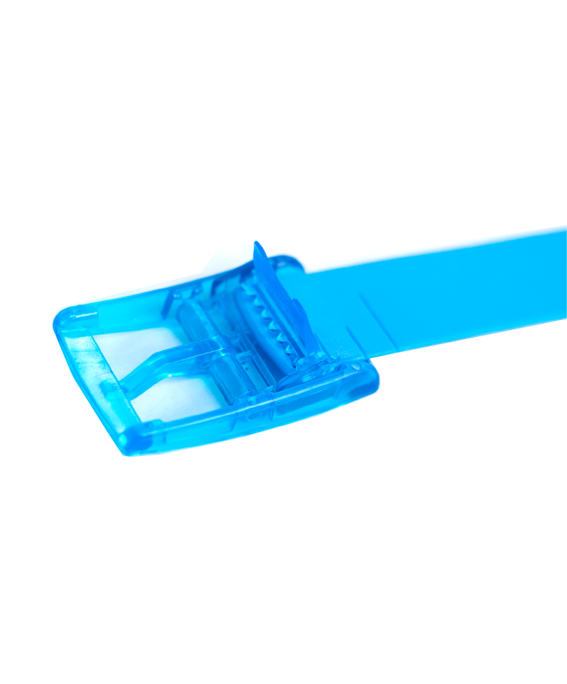 The Light Blue Boomslang