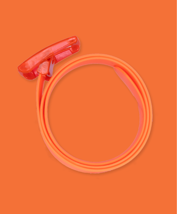 The Orange Boomslang