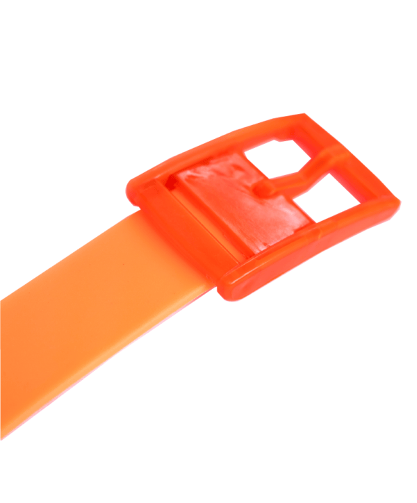 The Orange Boomslang