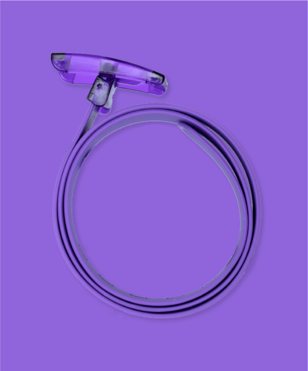 The Purple Boomslang