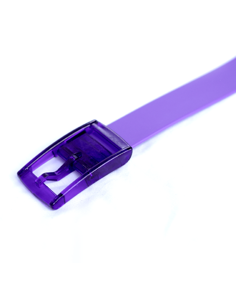 The Purple Boomslang