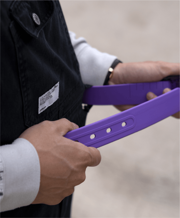 The Purple Boomslang