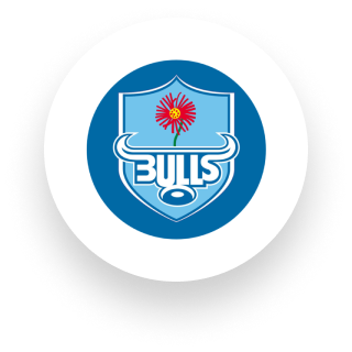 bulls logo- botthms
