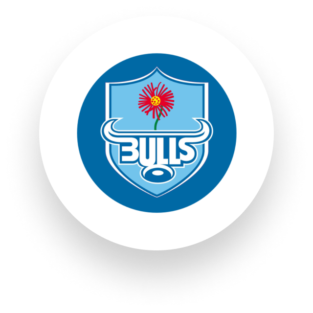 bulls logo- botthms