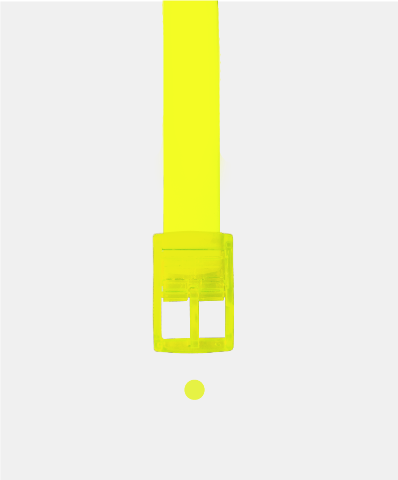 The Bright Yellow Boomslang