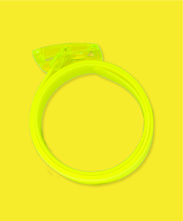 The Bright Yellow Boomslang