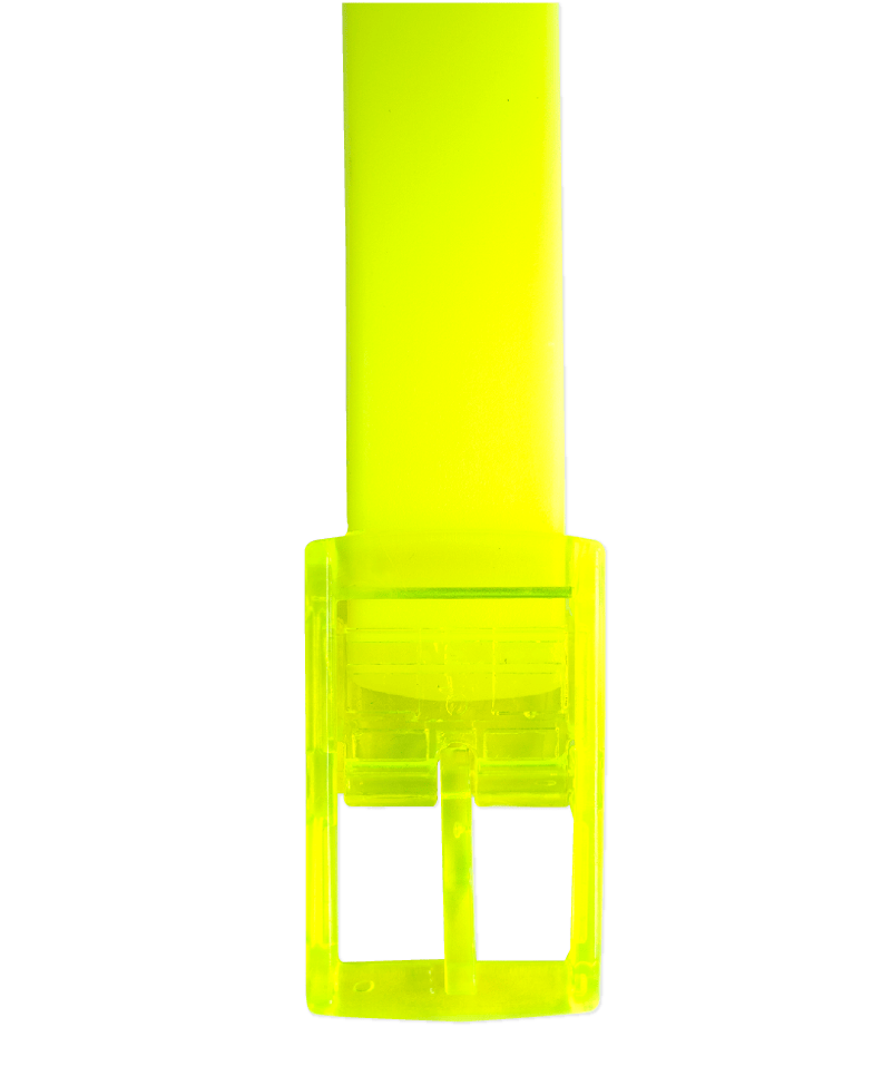 The Bright Yellow Boomslang