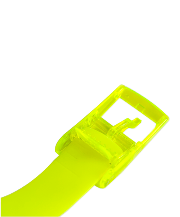 The Bright Yellow Boomslang