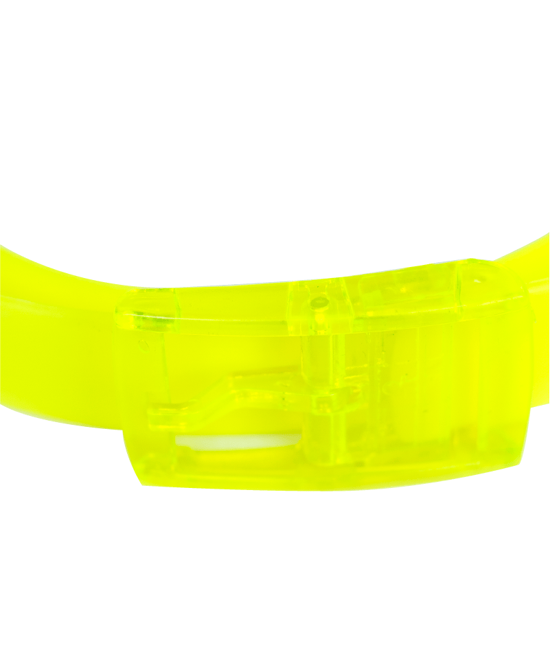 The Bright Yellow Boomslang