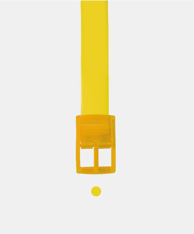 The Yellow Boomslang