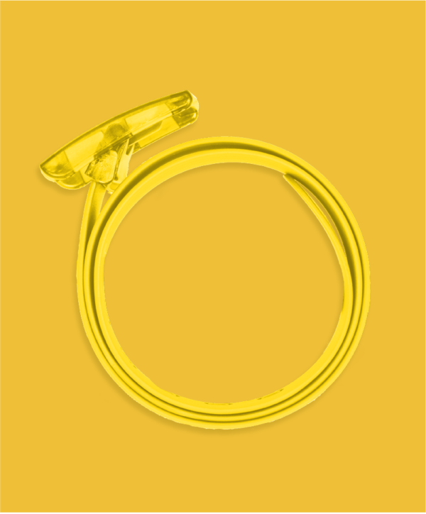 The Yellow Boomslang