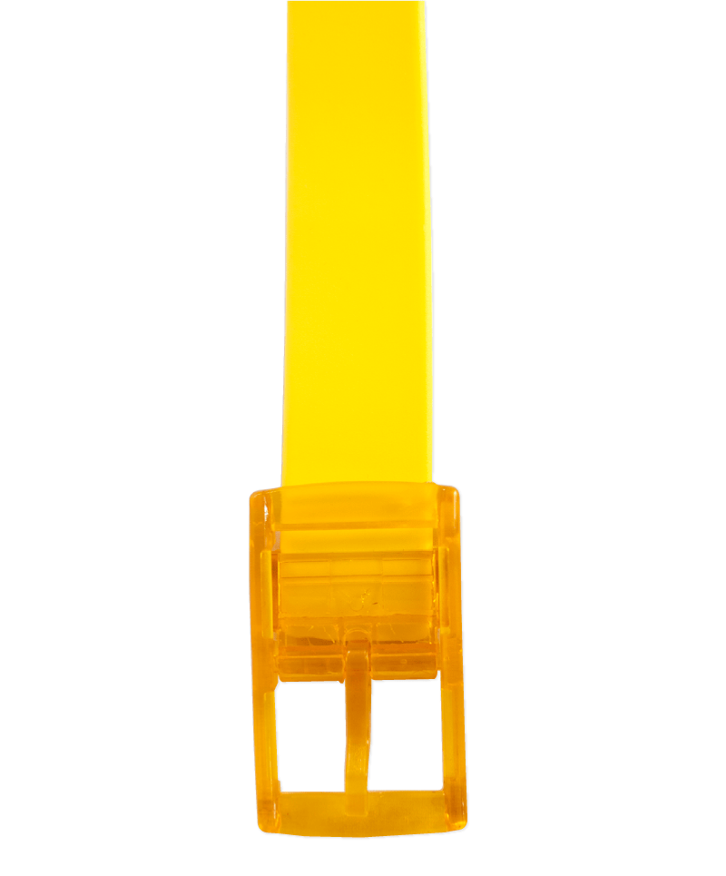 The Yellow Boomslang