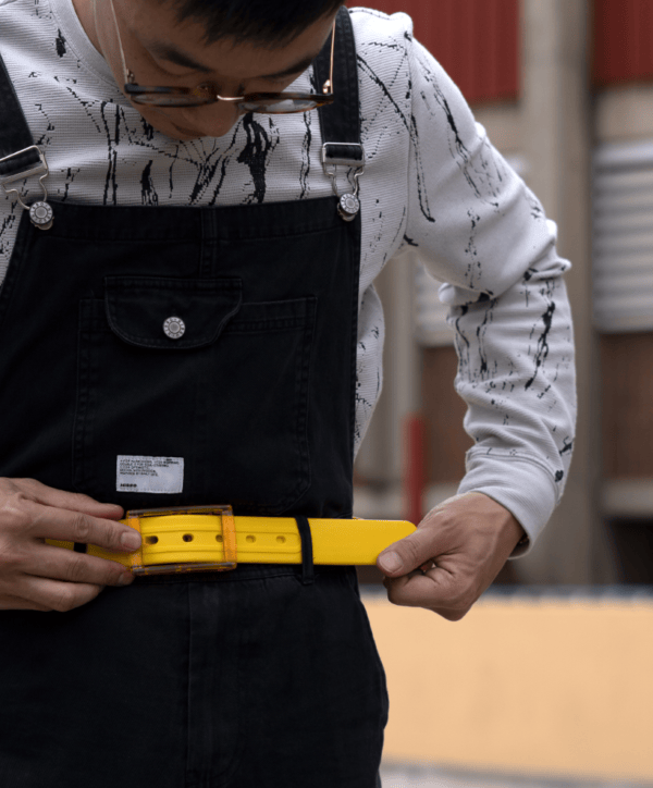 The Yellow Boomslang